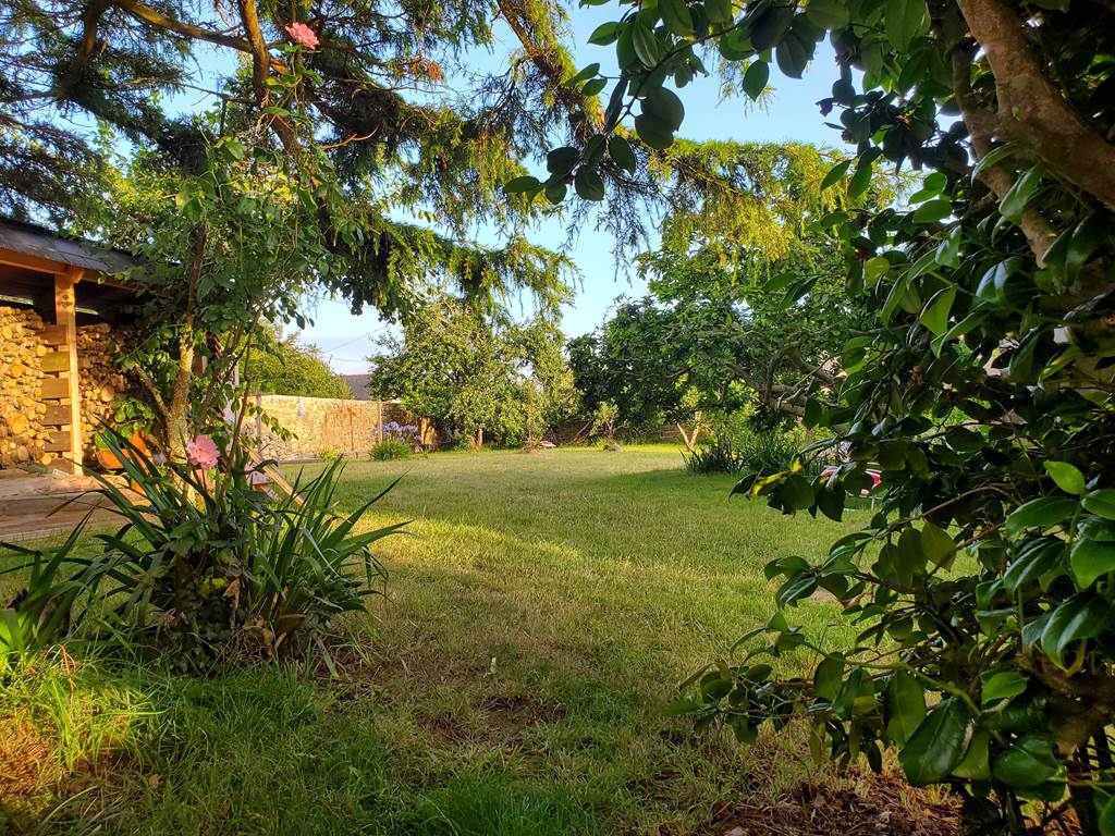 Le jardin avec ses murs d'enclos