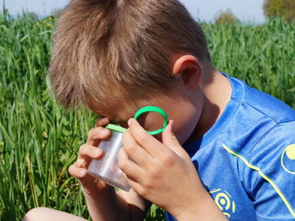 observation de la biodiversité. Ferme des Délices