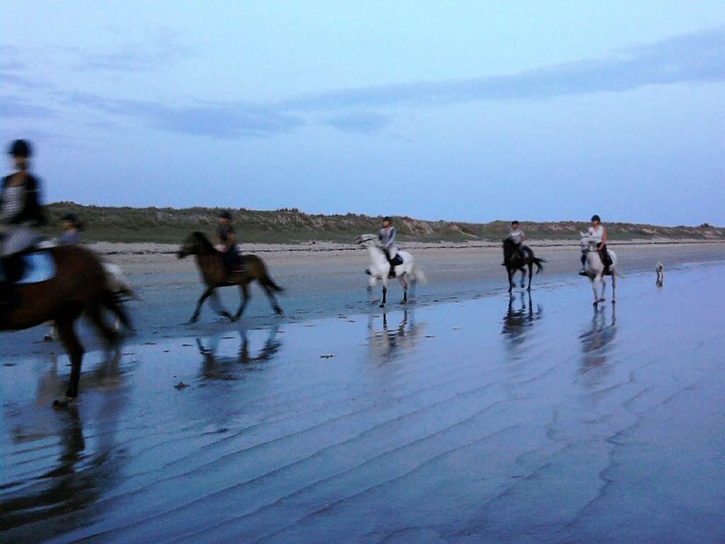 balade à cheval sur les plages d'Erdeven (Moopy en arrière plan)