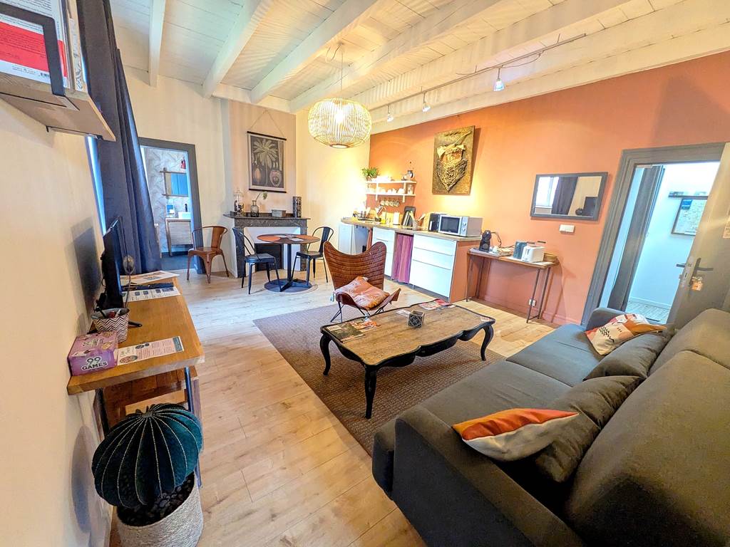 16 bis gite hotel-albi-marssac-salon-salle à manger-cuisinne équipée-appartement