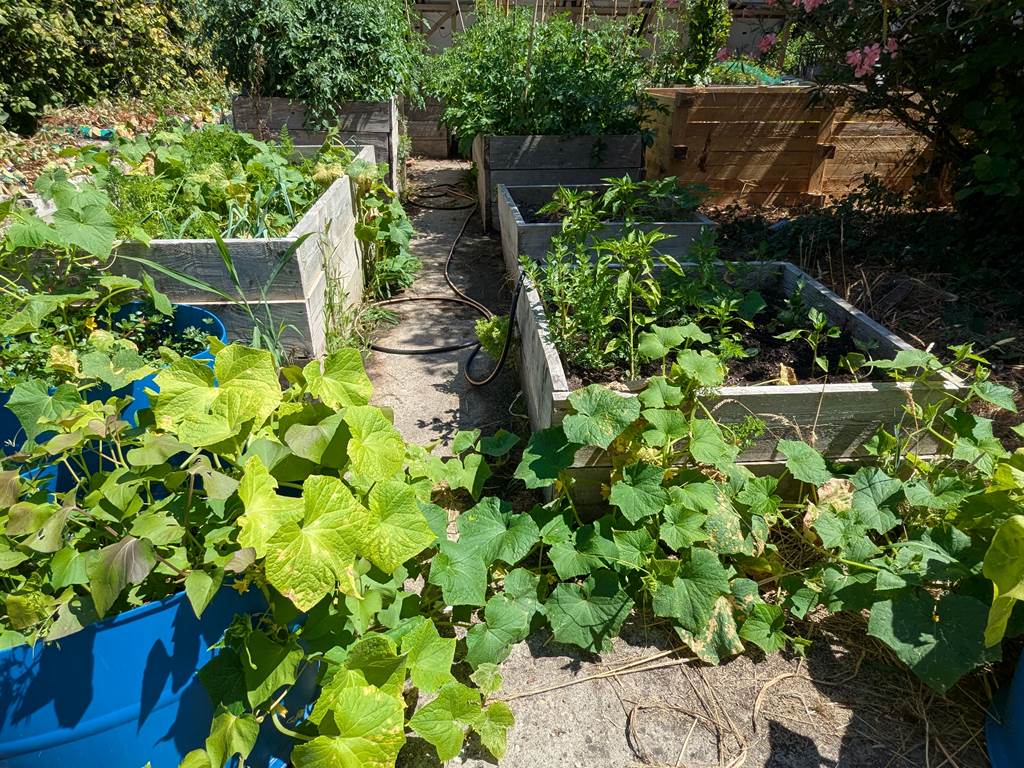 ma permaculture