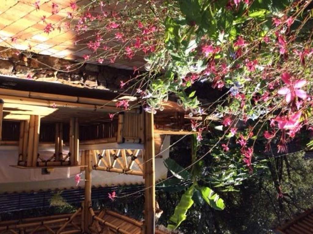 Les_jardins_de_valaurie_suite_bignone_vue_vers_le_salon_et_les_transats_415