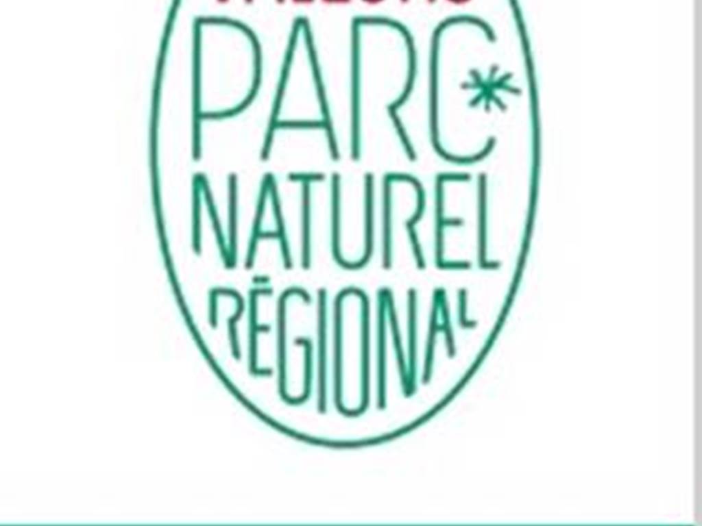 parc-naturel-regional-Alpilles