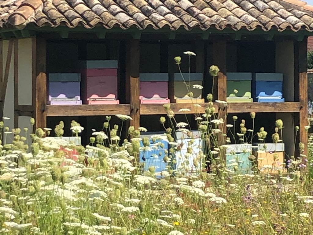 RUCHER DANS LES VERGERS-POTAGERS