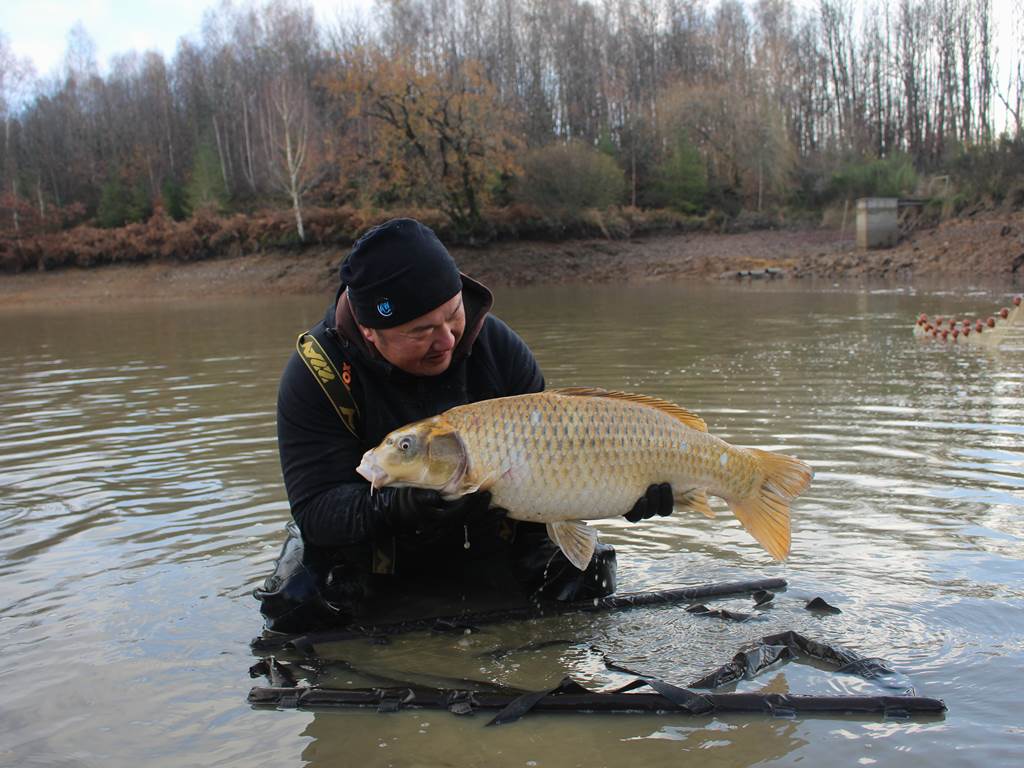PUYREGONDE KOI