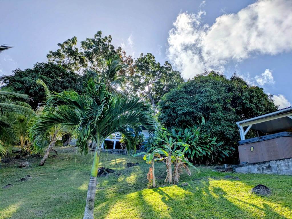 7865ac44-9550-465d-9d23-a77fbcc1d71c