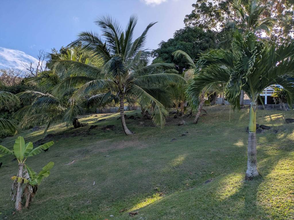 caa5adbe-fa99-4423-a676-736a221ad395