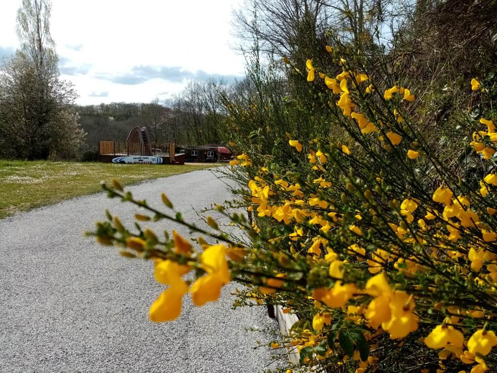 camping-la-perle-creuse-fleuri