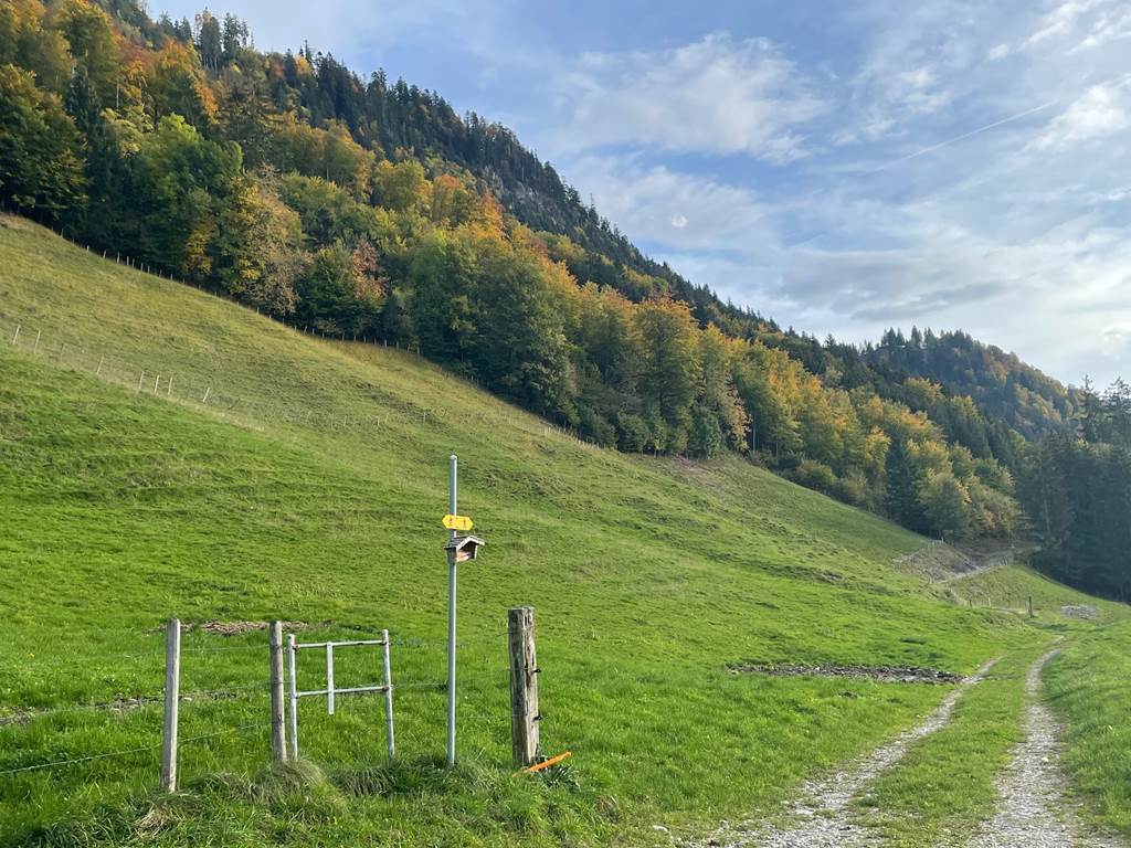 Octobre 2024 couleurs d'automne et sentier au dessus du village