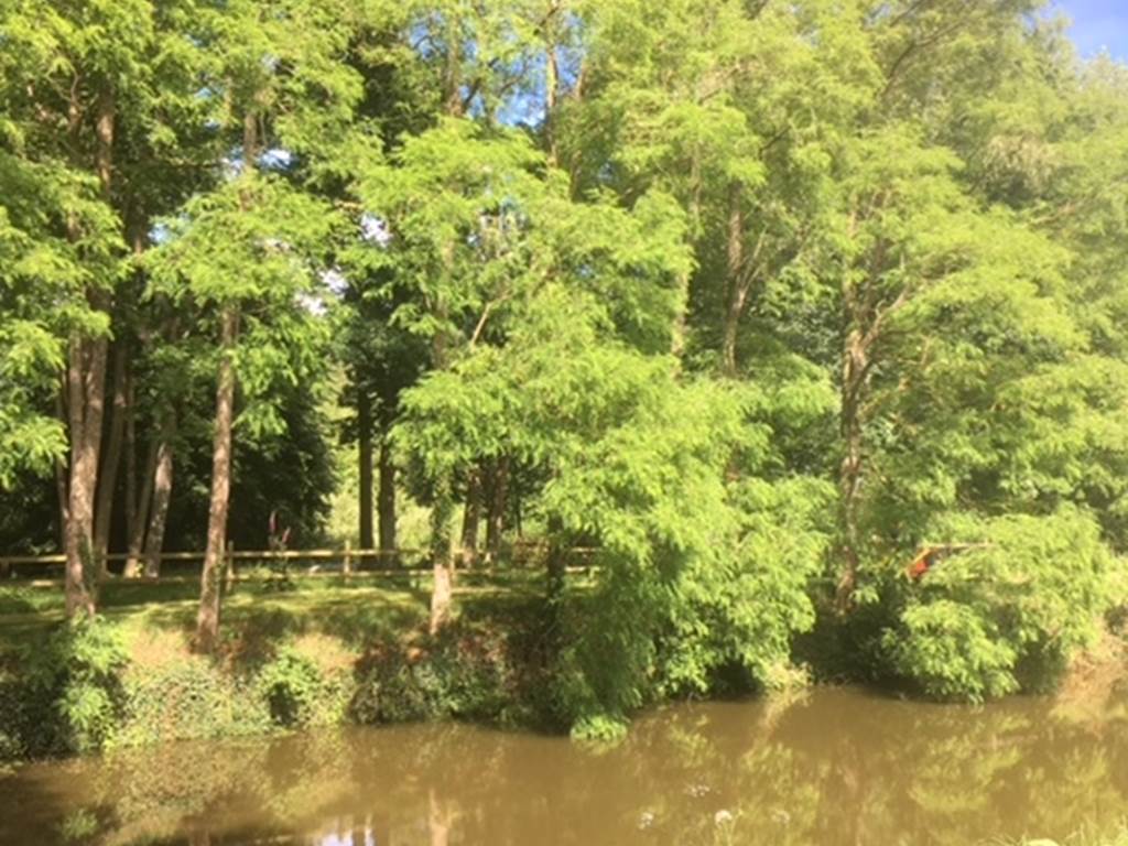 etang 9