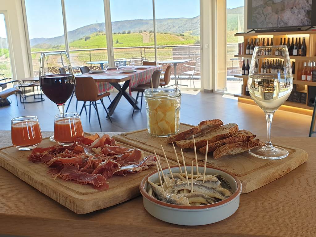 domainelatoupie-chambredhote-roussillon-oenotourisme