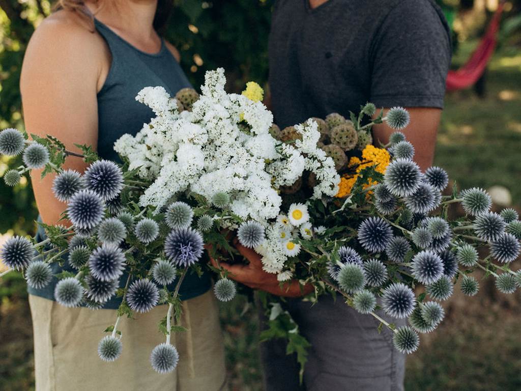 bouquet-fleurs-sechees-francaises-terralya