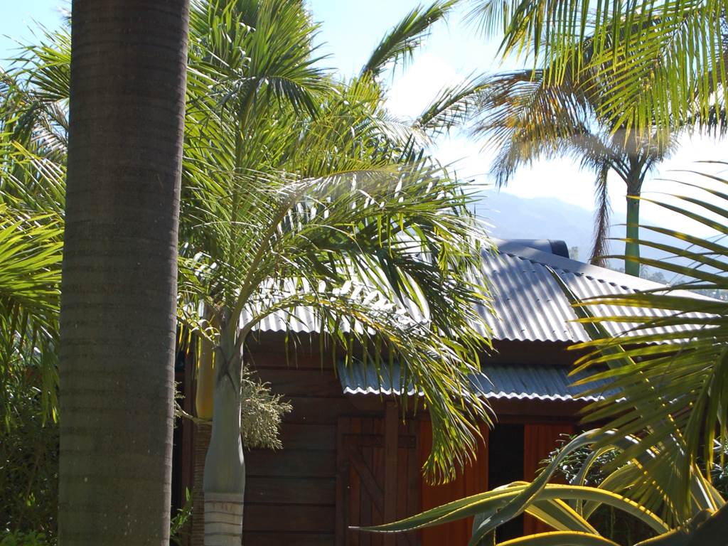 BUNGALOW HIBISCUS DANS LE JARDIN