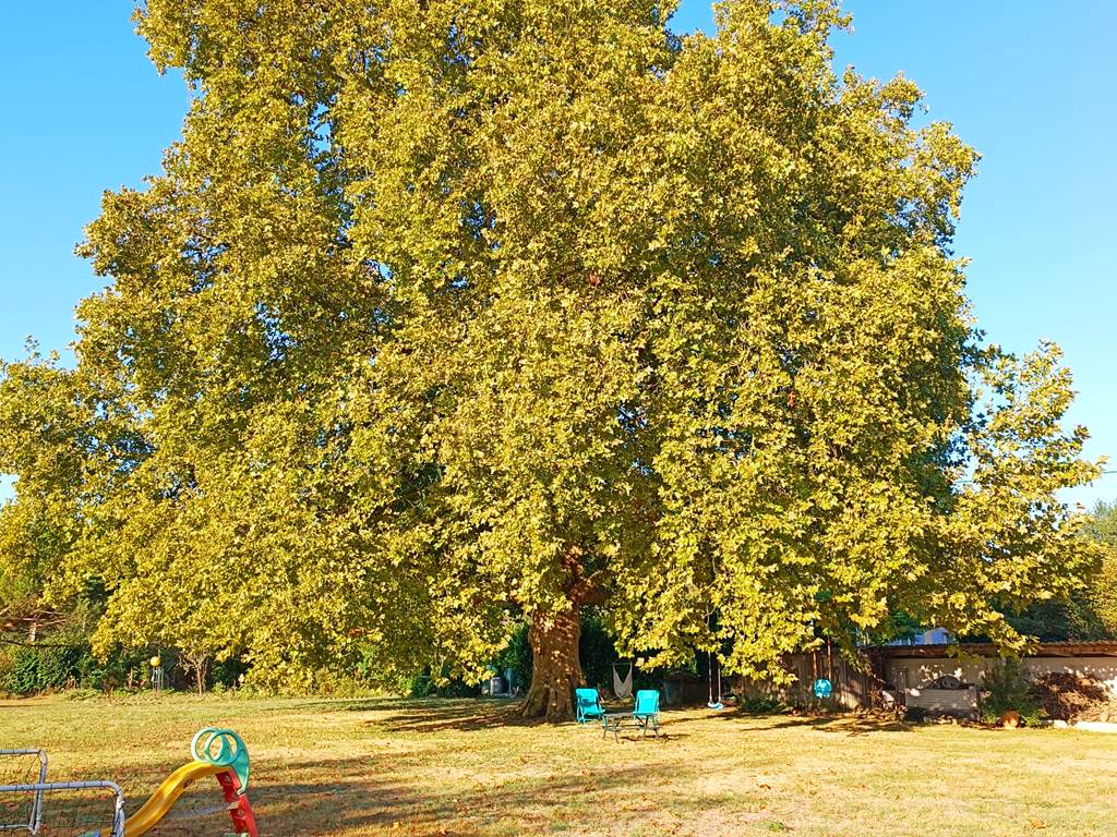 Gîtes, chambre d'hôtes et table d'hôtes gastronomique à Casteljaloux Lot et Garonne, piscine, jacuzzi et spa