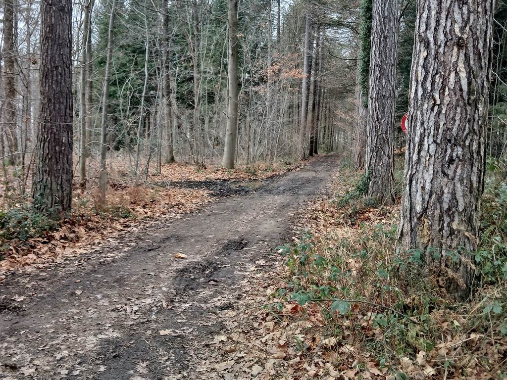 balade bois de la Vecquée