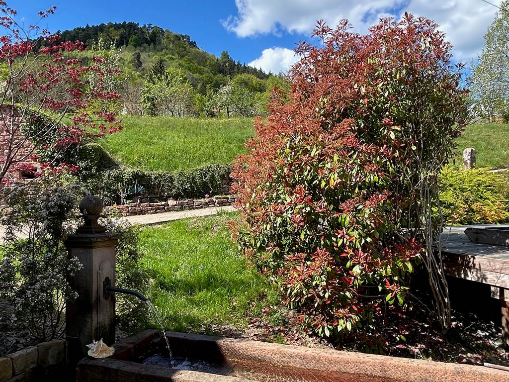 Fontaine Casa Mypi