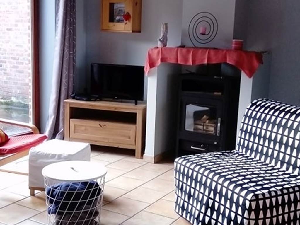 espace salon avec feu à bois, l'air pur 1