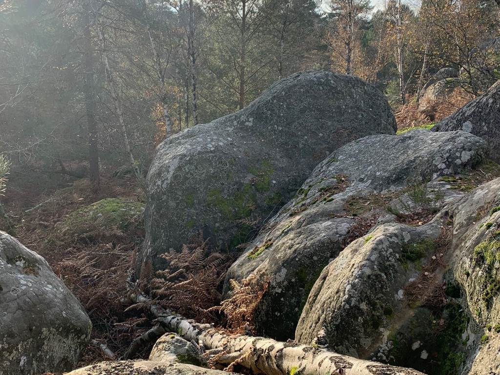 Fontainebleau boulders Apremont