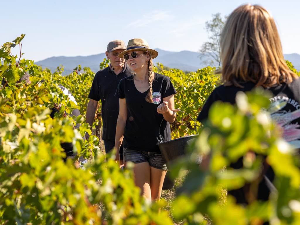 Domaine des Perirecedes BD-0185