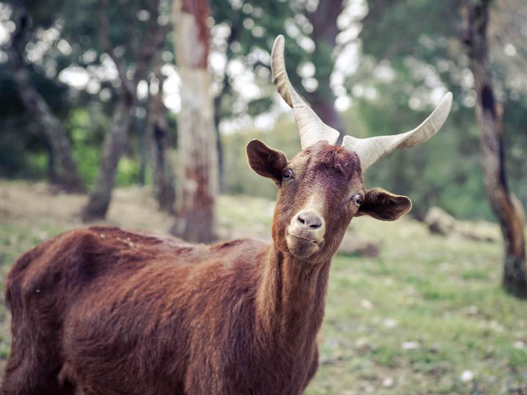 0013_cocody-030 copie