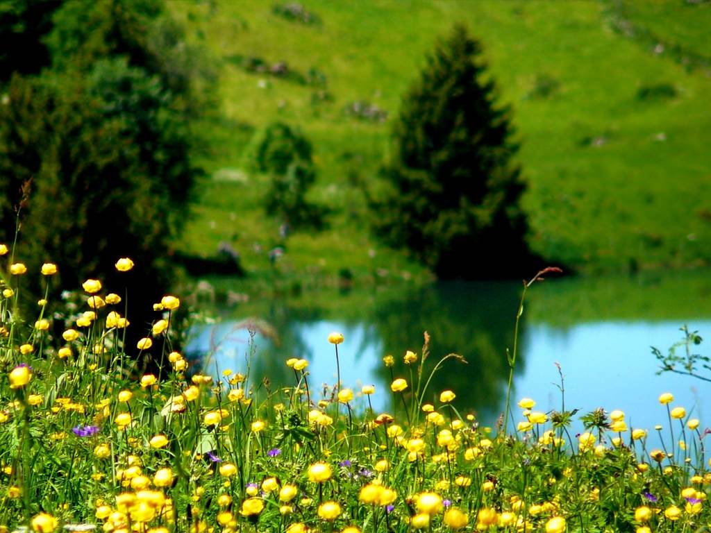 printemps-en-montagne.75288