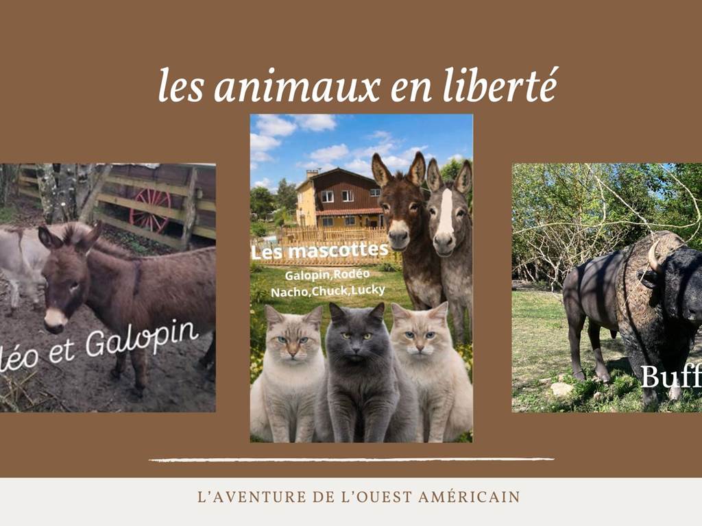 Les animaux