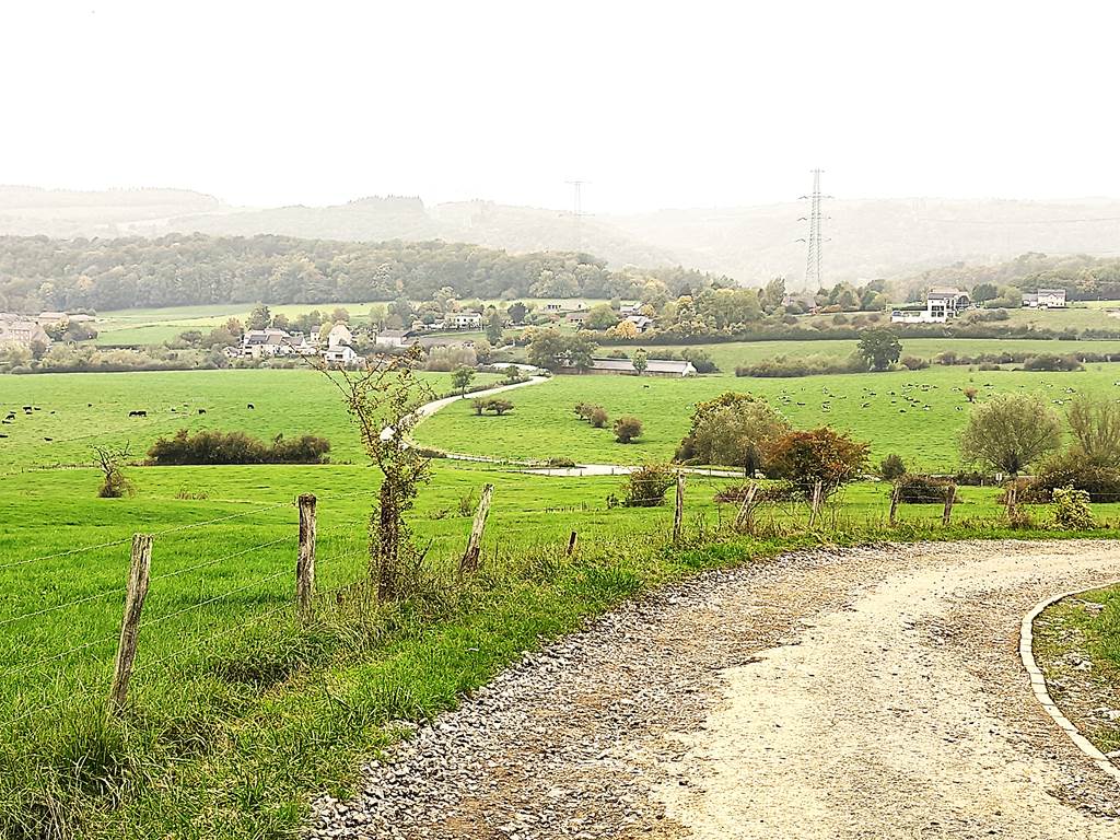Que de verdure dans la région de Hamoir ce 10 octobre 25