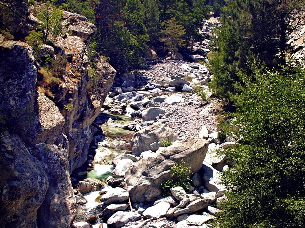 Asco en amont du pont de Roggia