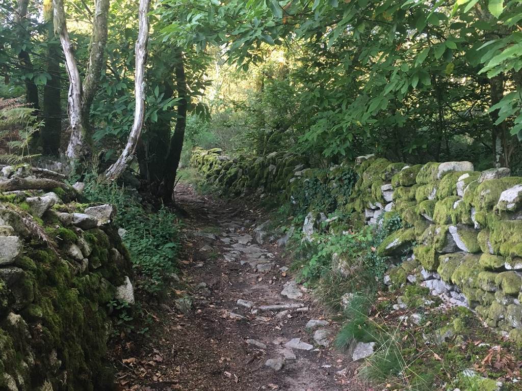 Chemin creux