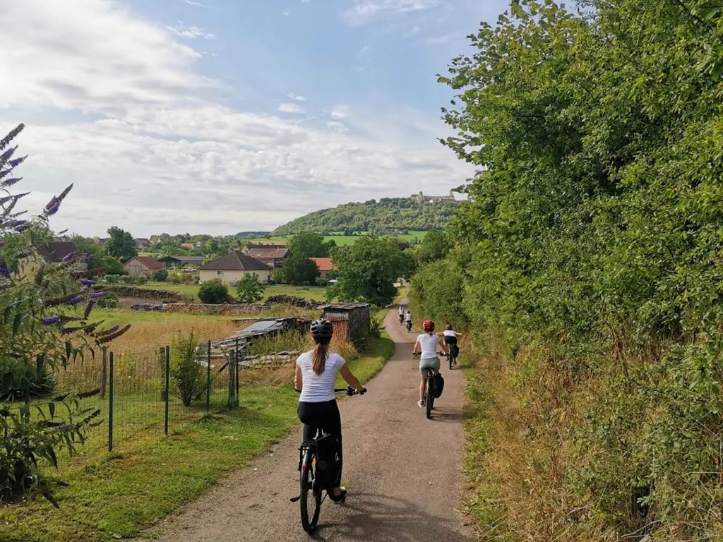 vigne-randonnée-bourgogne-vélo-balade-route des vignes