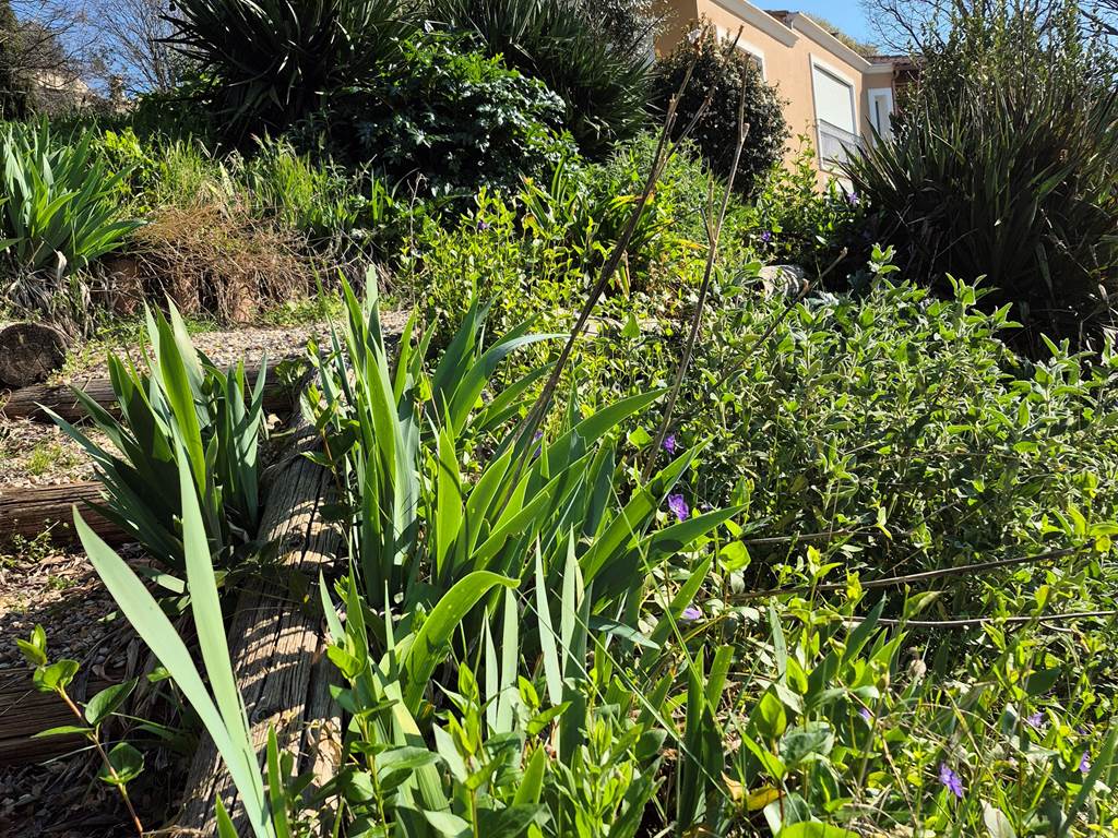 Un coin de jardin
