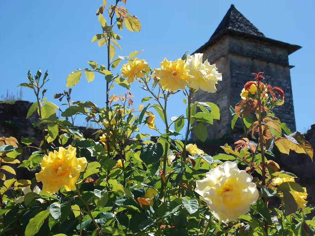 le-chateau-de-pervinquieres-exterieur