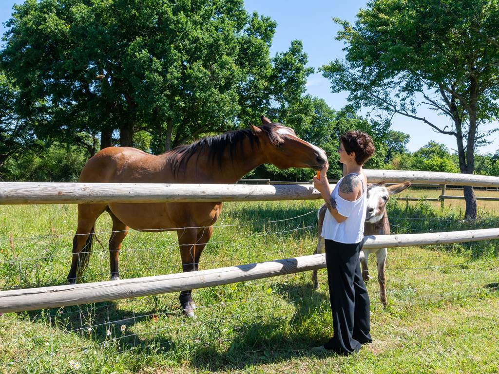 hameau_des_deux_ailes_gite_de_groupe_sarthe