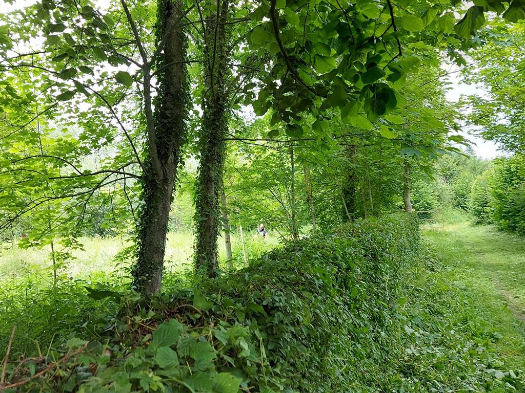 Chemin de promenade autour du gîte, idéal pour profiter du calme, de la verdure et des paysages typiques du Pays des 7 Vallées.