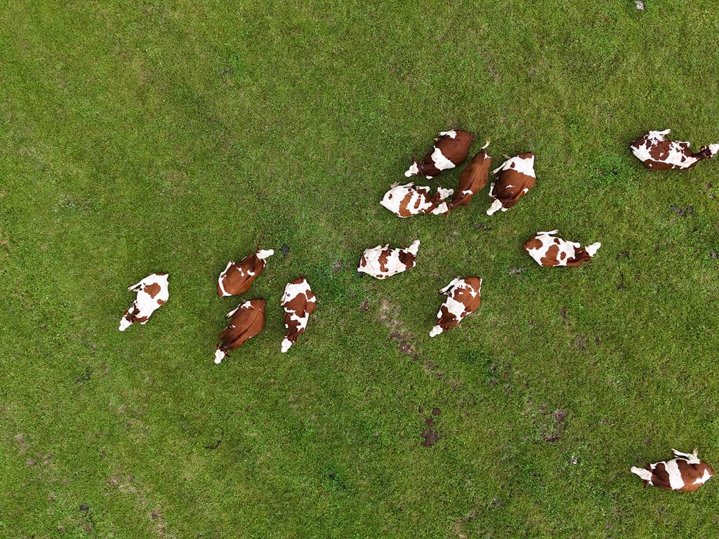 MRO DJI_20240901163313_0224_D