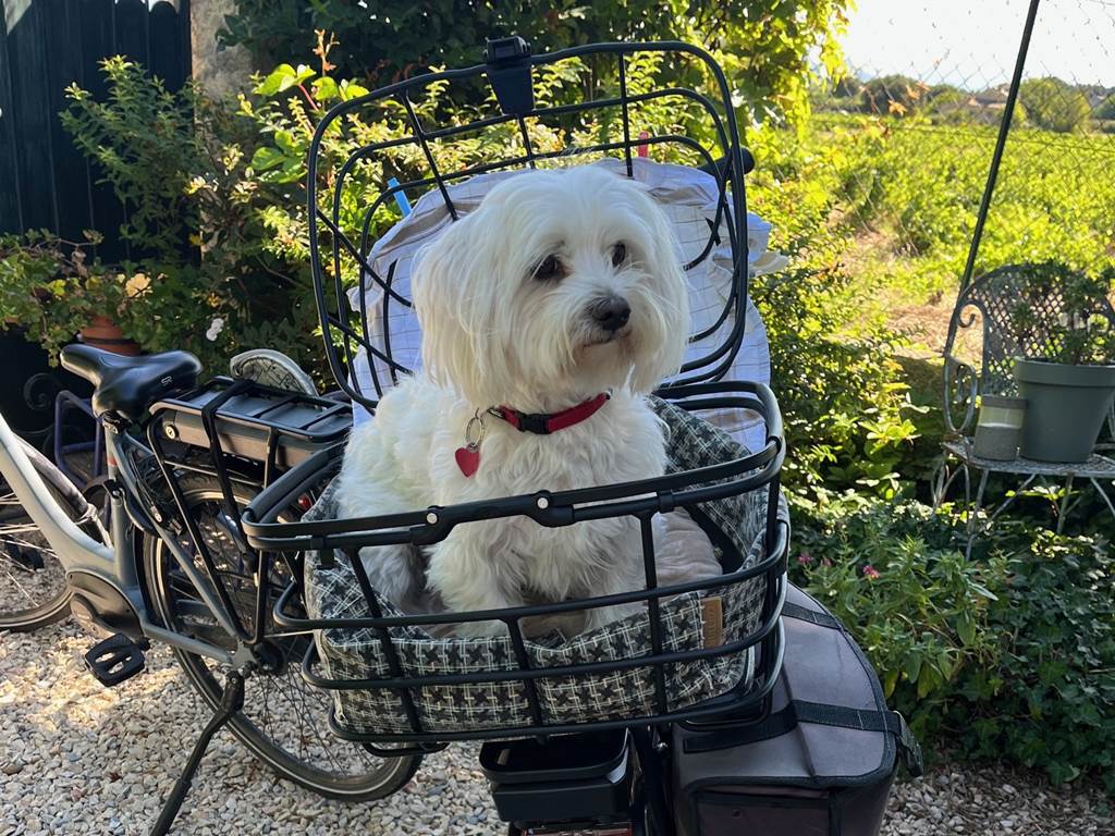 Le Mas Mellou : Accueil Vélo