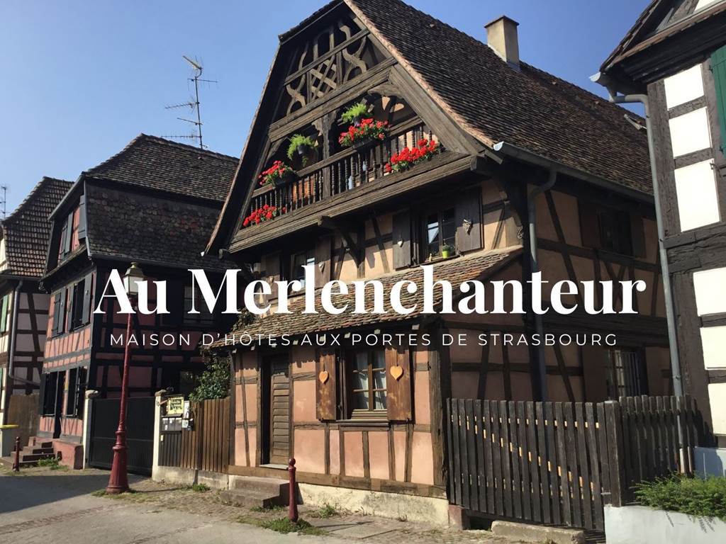 Au Merlenchanteur