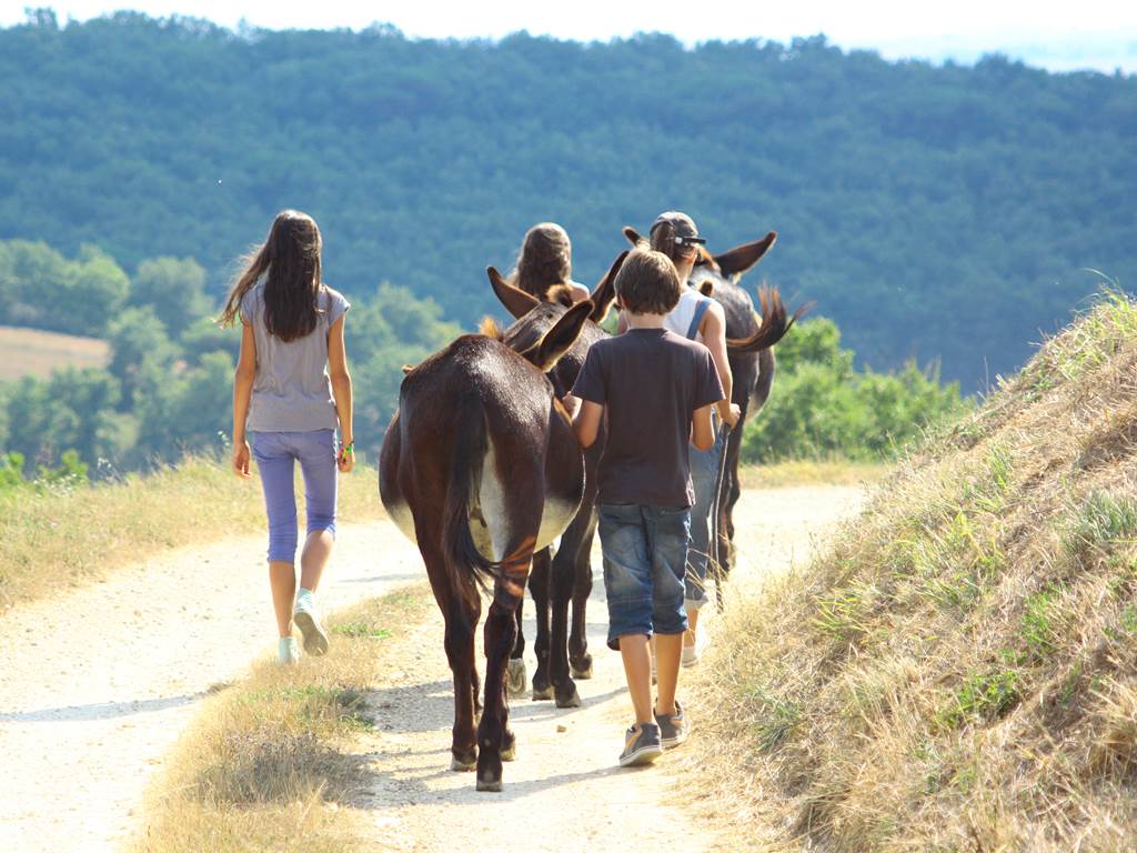 randonnée avec les ânes la ferme du Hitton