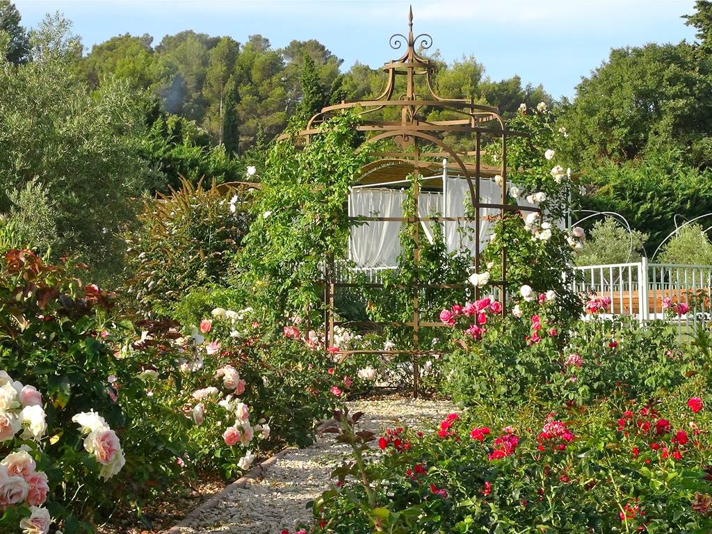 roseraie-gite-alpilles