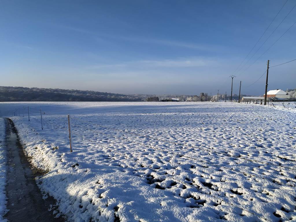 Zone fabrication de bonhomme de neige