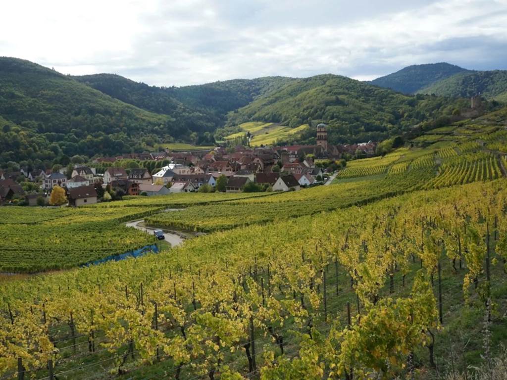 vin alsace les ambrades