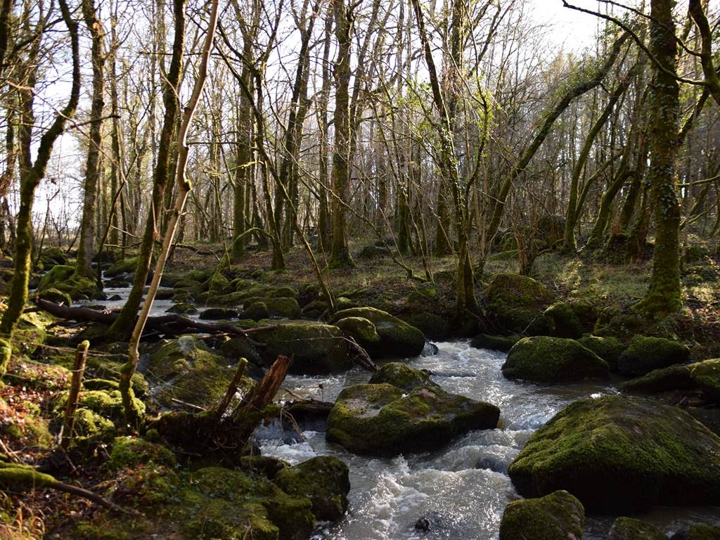 Le ruisseau et les Rochers de l’Isop