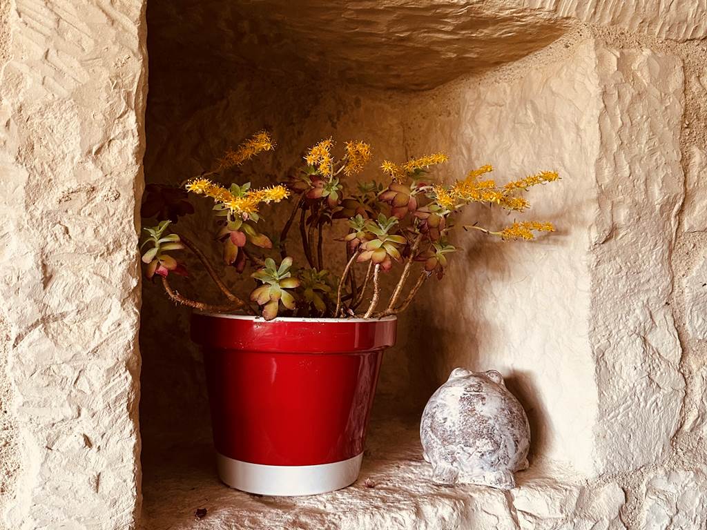 Niche mur de pierres_La Cavalerie