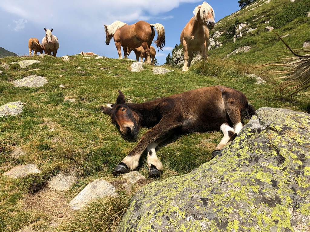 E689D516-A6AA-4239-8A3C-2CB05C17F959