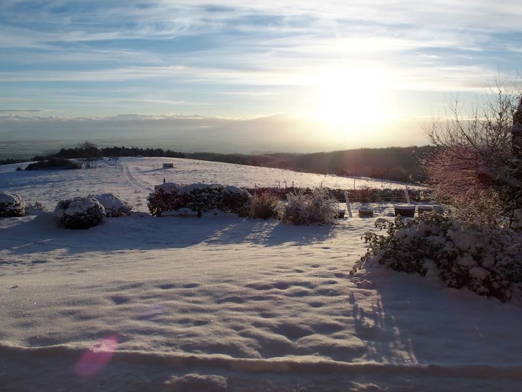 Une journée hivernale (devant l'appartement)