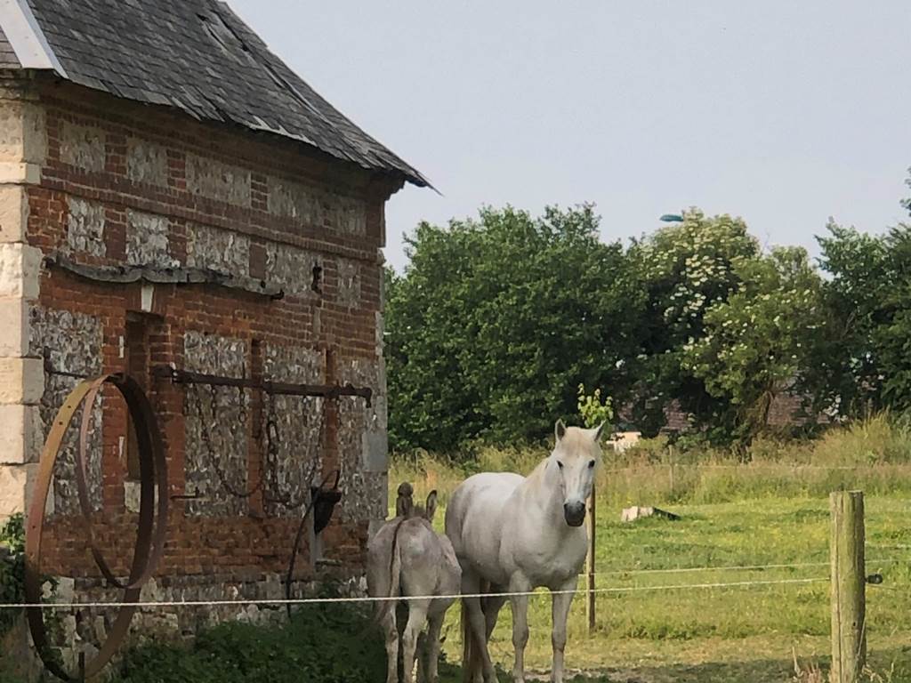 #ClosSaintJoseph_Hans et Balthazar