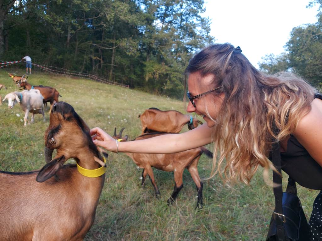 Chevre qui rit carré 2© CSO