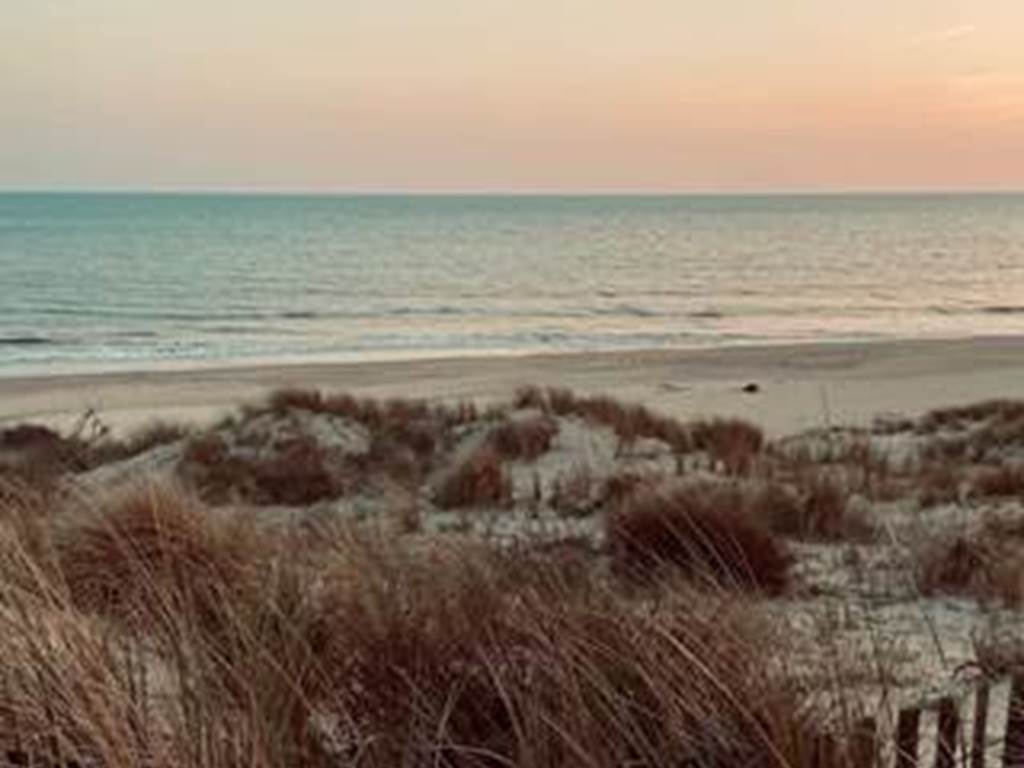 plage-cote-sauvage-océan