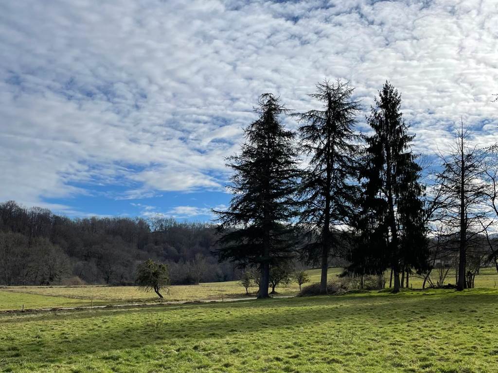 La vue depuis La Palomière