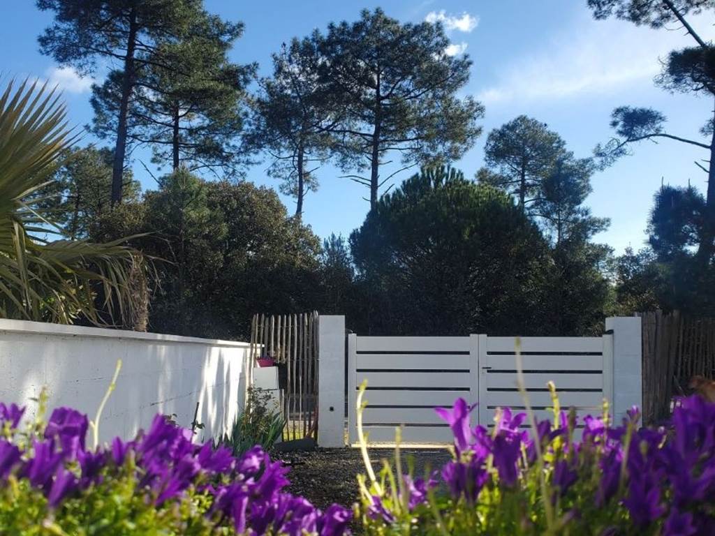 campanule-jardin-vueforetdepin